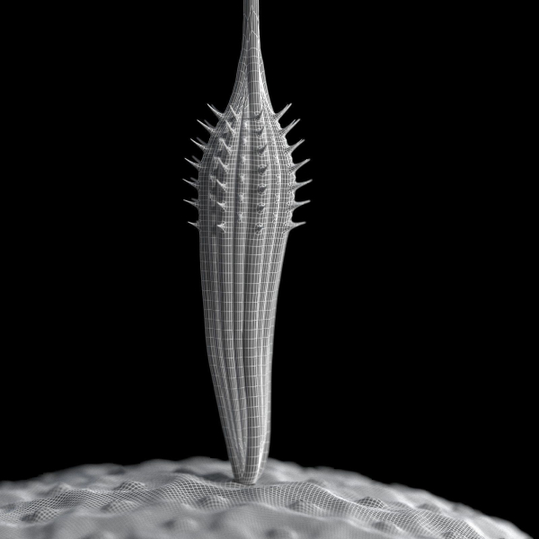 Dandelion Photoreal