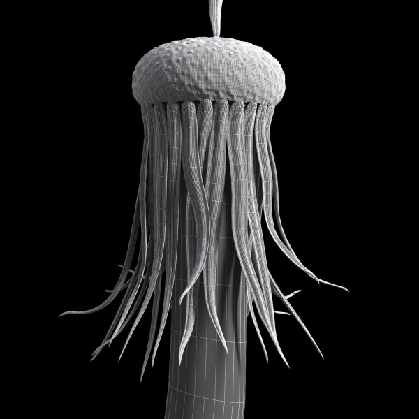 Dandelion Photoreal