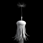 Dandelion Photoreal
