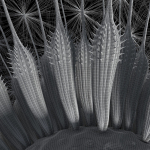 Dandelion Photoreal