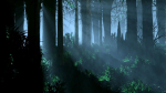 Dark Forest Animation