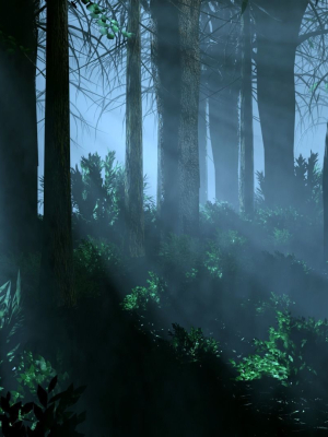 dark-forest-animation-3d-model-05a740a58e