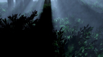 Dark Forest Animation