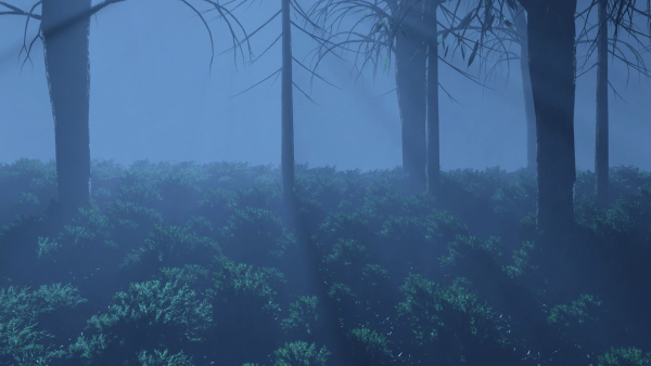 Dark Forest Animation