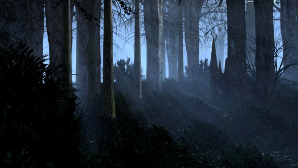 Dark Forest Animation
