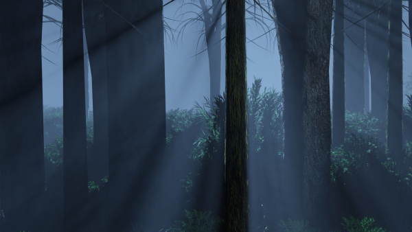 Dark Forest Animation