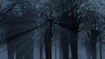 Dark Forest Animation
