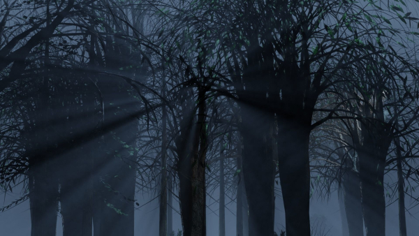 Dark Forest Animation