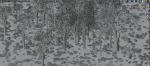 Dark Forest Animation