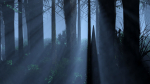 Dark Forest Animation