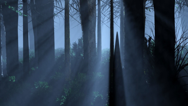 Dark Forest Animation