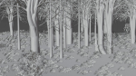 Dark Forest Animation