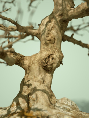 dead-bonsai-tree-1-3d-model-obj-mtl-fbx-ma-mb-dxf-stl-dae
