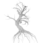 Dead Forest