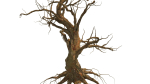 Dead Forest