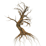 Dead Forest