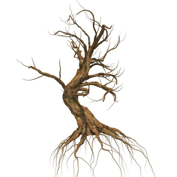 Dead Forest