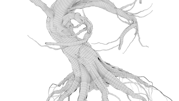 Dead Forest