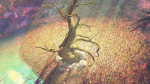 Dead Forest
