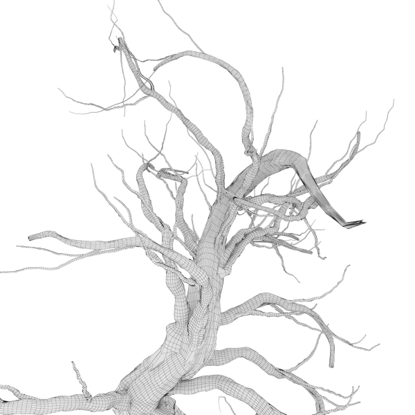 Dead Forest
