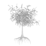 Dead Forest