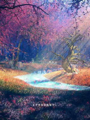 Dead Forest