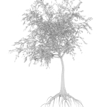 Dead Forest