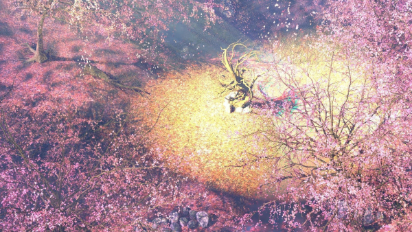 Dead Forest