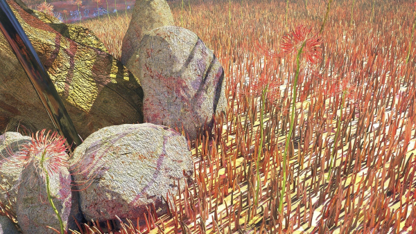 Dead Forest