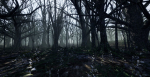 Dead Forest