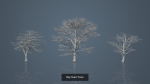 Dead Trees