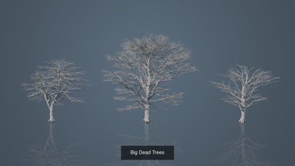 Dead Trees