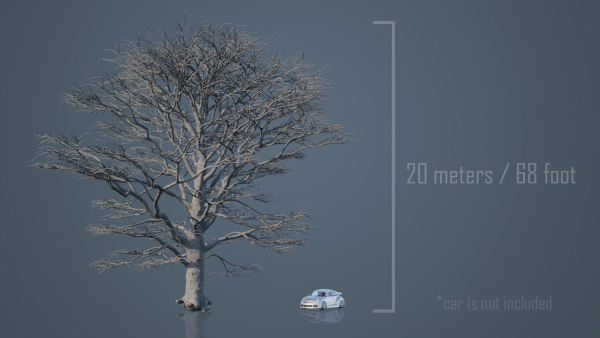 Dead Trees