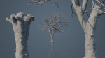 Dead Trees