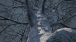 Dead Trees