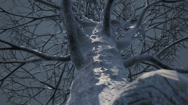 Dead Trees