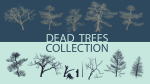 Dead Trees