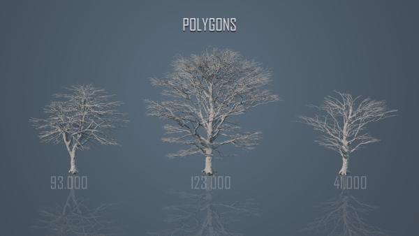 Dead Trees