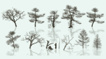 Dead Trees