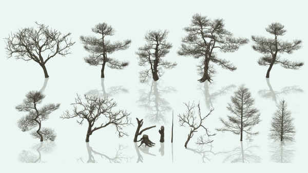 Dead Trees