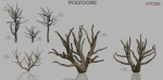 Dead Trees