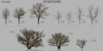 Dead Trees