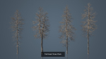 Dead Trees