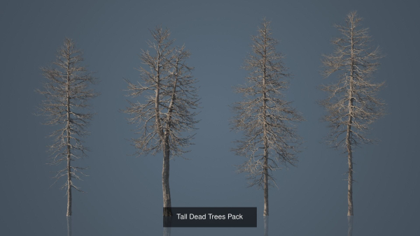 Dead Trees