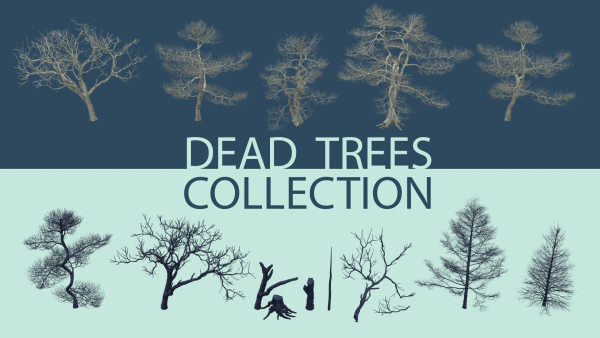 Dead Trees