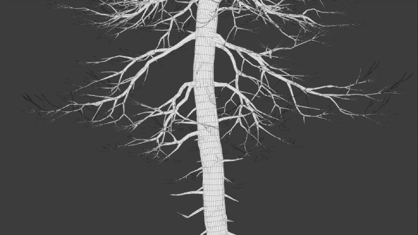 Dead Trees
