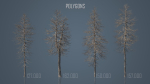 Dead Trees