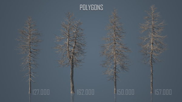 Dead Trees
