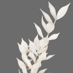 Decor branch Ruscus in a vase Set 61
