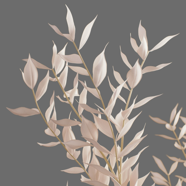 Decor branch Ruscus in a vase Set 61